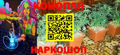 мяу мяу мука Заволжье