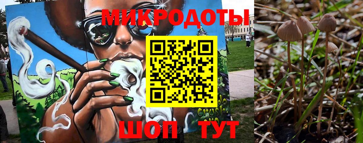 Псилоцибиновые грибы ЛСД Кудрово
