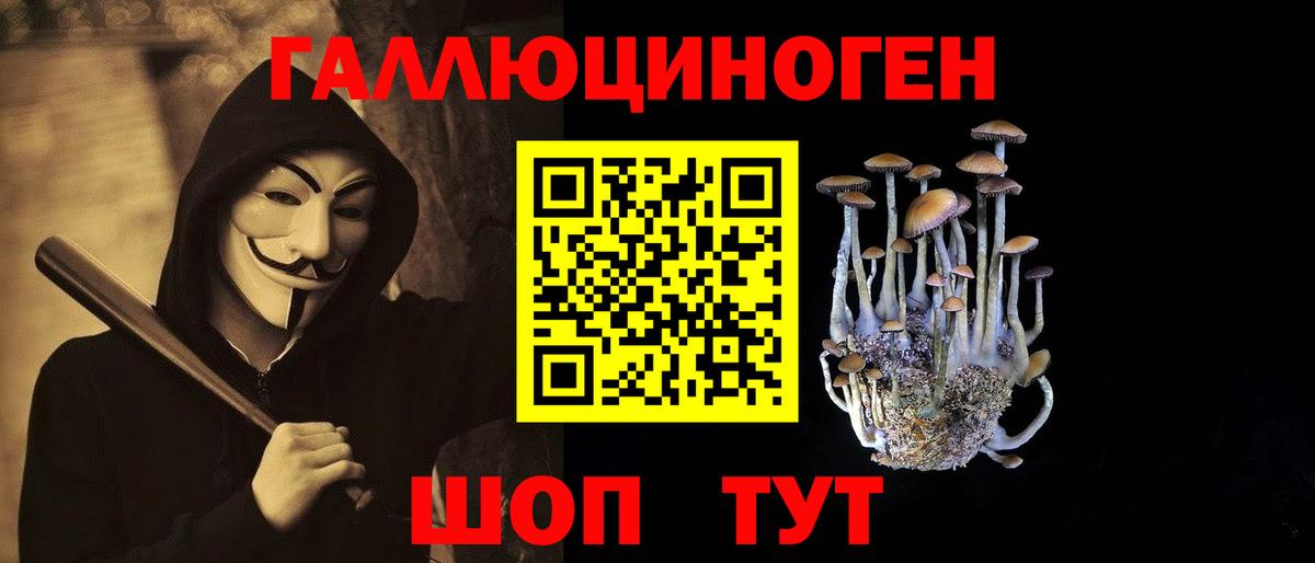 Кудрово  Псилоцибиновые грибы Psilocybine cubensis  Вход с VPN 